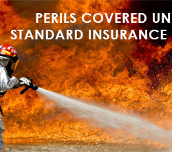 Perils_Covered_under_Standard_insurance_policy